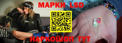 гидропоника Пугачёв