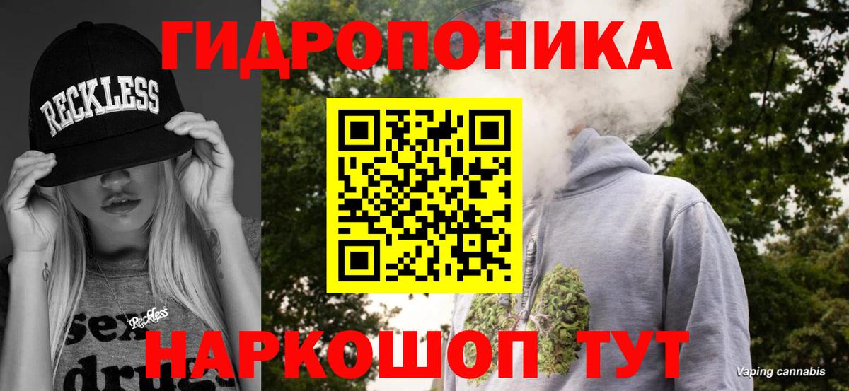 Бошки Шишки планчик Сальск